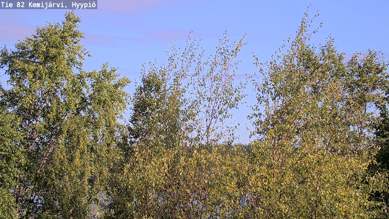 Weather Camera Image Väg 5 Kemi träsk, hyypiö, Kemijärvi, Lappi