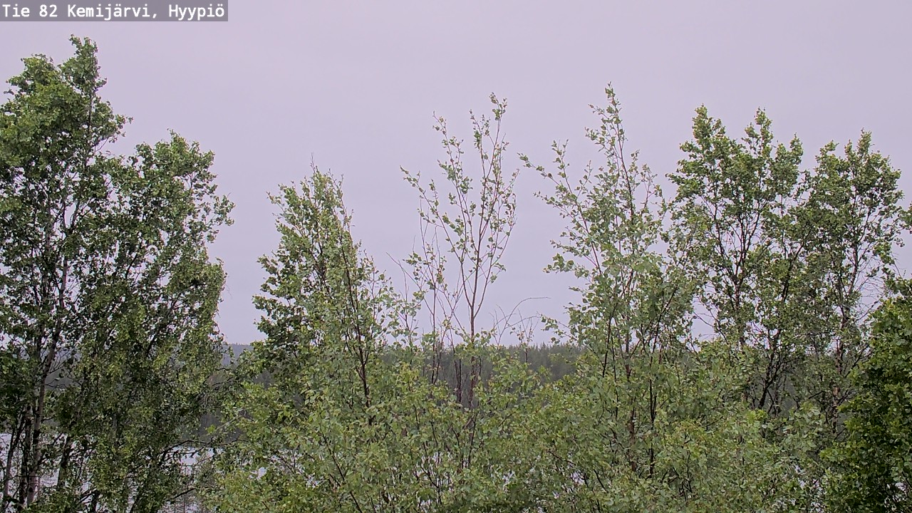 Weather Camera Image Väg 5 Kemi träsk, hyypiö, Kemijärvi, Lappi