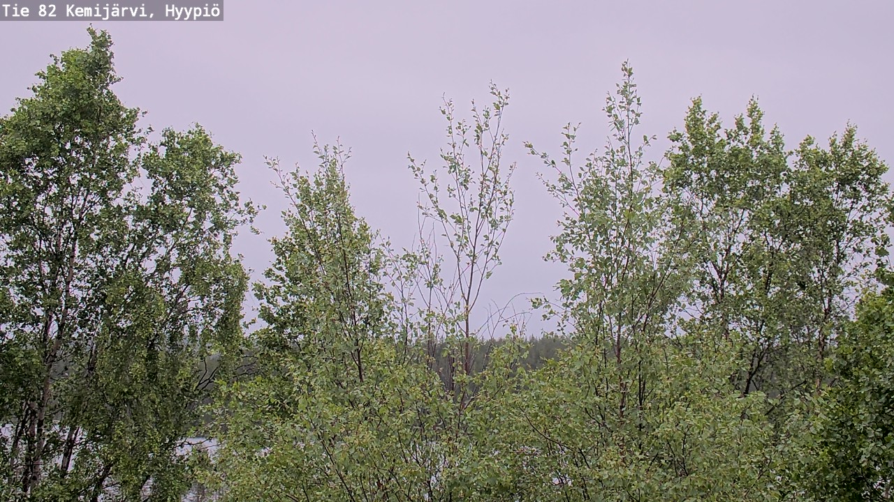 Weather Camera Image Väg 5 Kemi träsk, hyypiö, Kemijärvi, Lappi