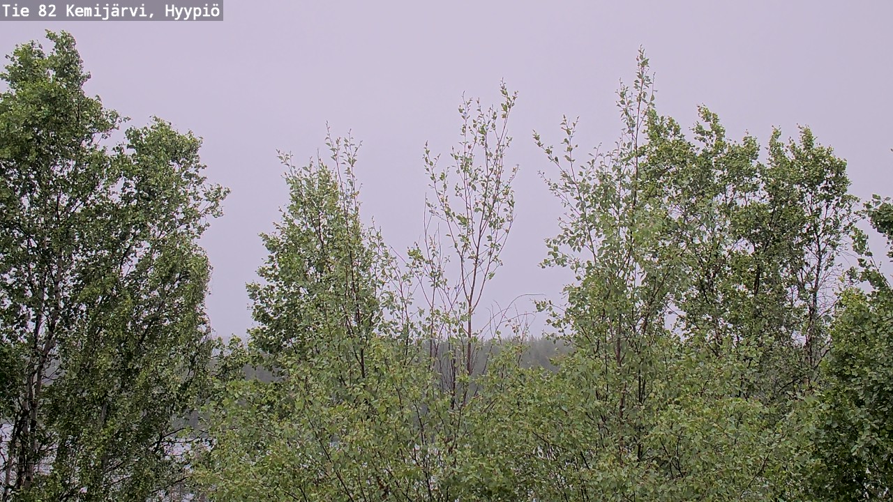 Weather Camera Image Väg 5 Kemi träsk, hyypiö, Kemijärvi, Lappi