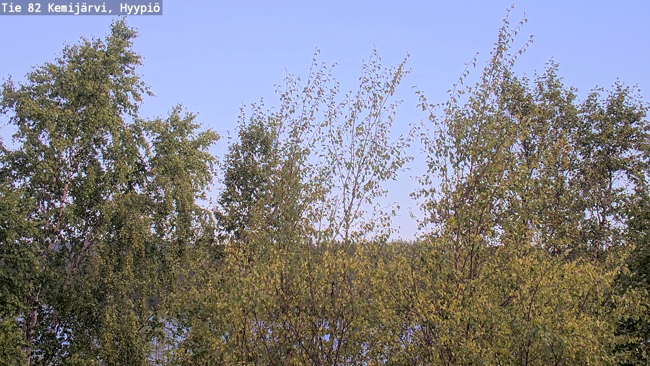 Weather Camera Image Väg 5 Kemi träsk, hyypiö, Kemijärvi, Lappi