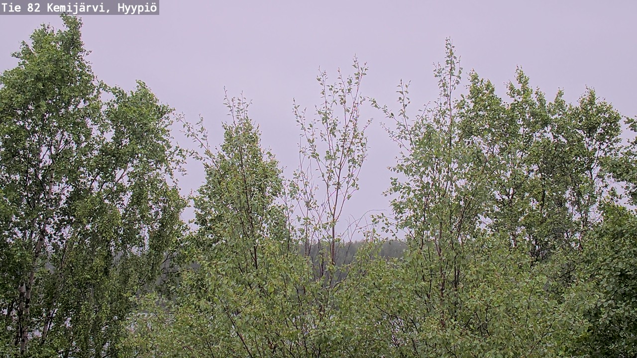 Weather Camera Image Väg 5 Kemi träsk, hyypiö, Kemijärvi, Lappi