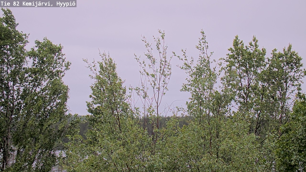 Weather Camera Image Väg 5 Kemi träsk, hyypiö, Kemijärvi, Lappi