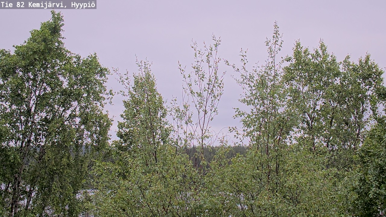 Weather Camera Image Väg 5 Kemi träsk, hyypiö, Kemijärvi, Lappi