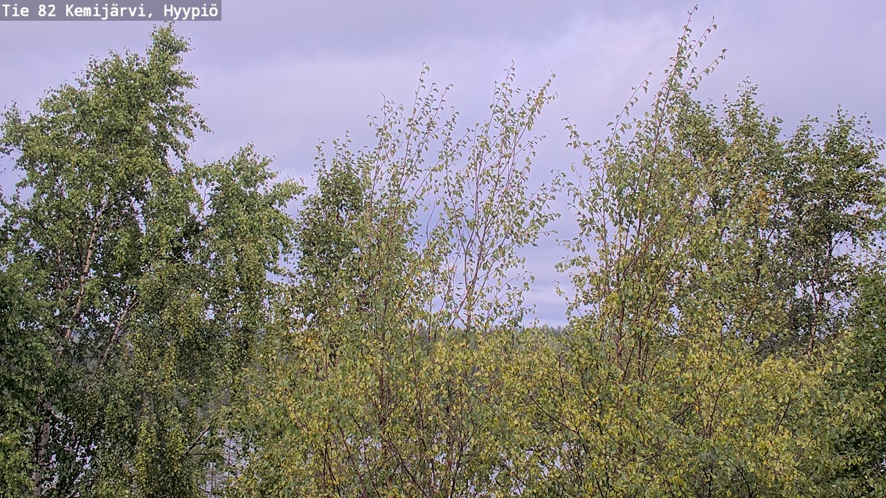 Kelikamerat Kuva Tie 82 Kemijärvi, Hyypiö, Kemijärvi, Lappi