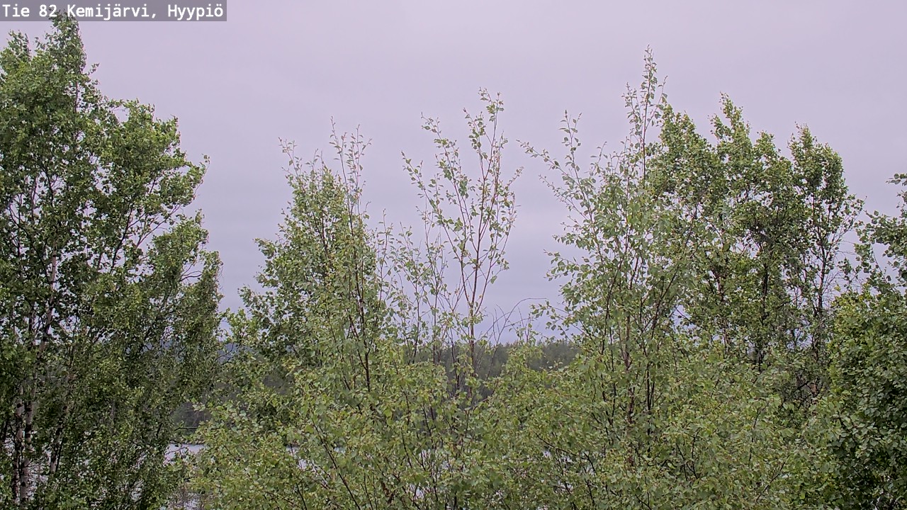Weather Camera Image Väg 5 Kemi träsk, hyypiö, Kemijärvi, Lappi