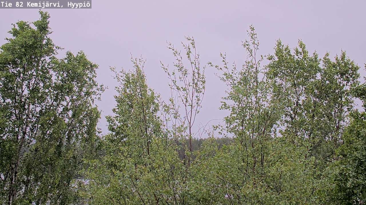 Weather Camera Image Väg 5 Kemi träsk, hyypiö, Kemijärvi, Lappi