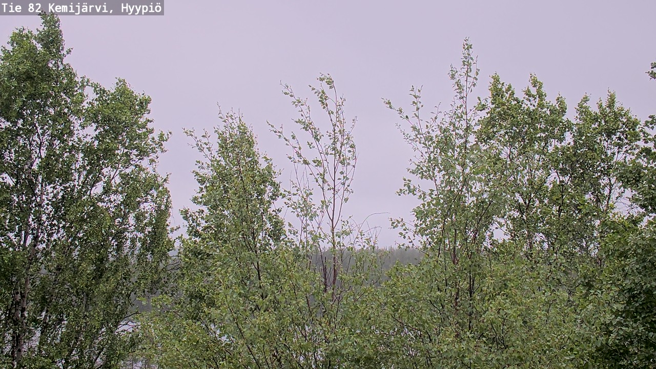 Weather Camera Image Väg 5 Kemi träsk, hyypiö, Kemijärvi, Lappi