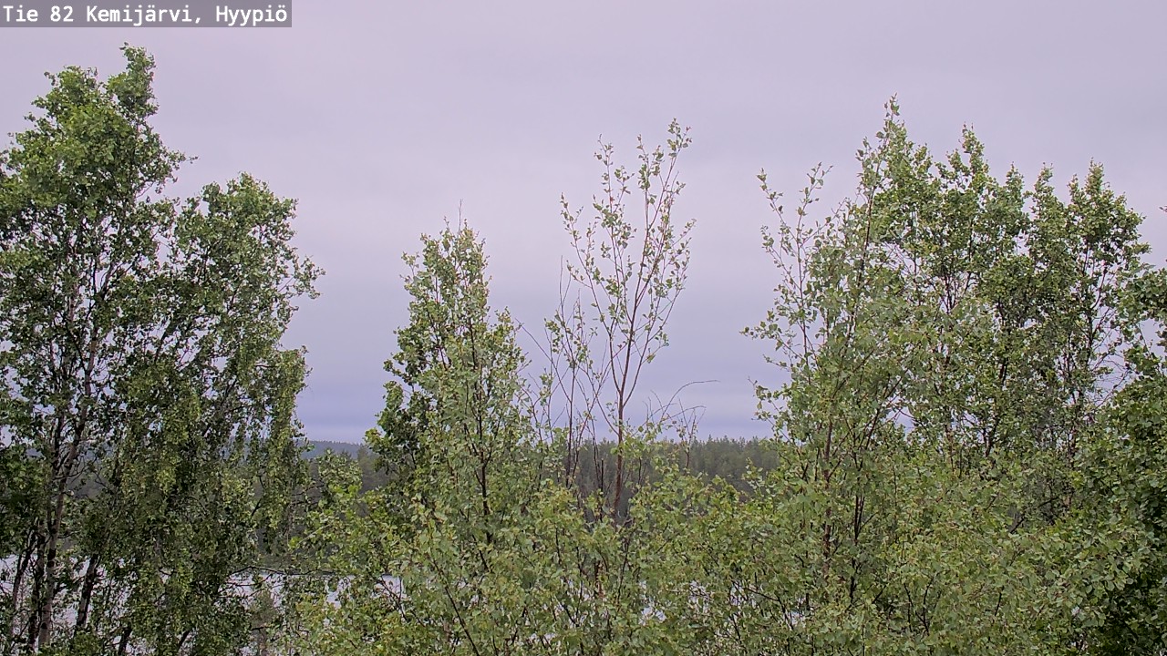 Weather Camera Image Väg 5 Kemi träsk, hyypiö, Kemijärvi, Lappi