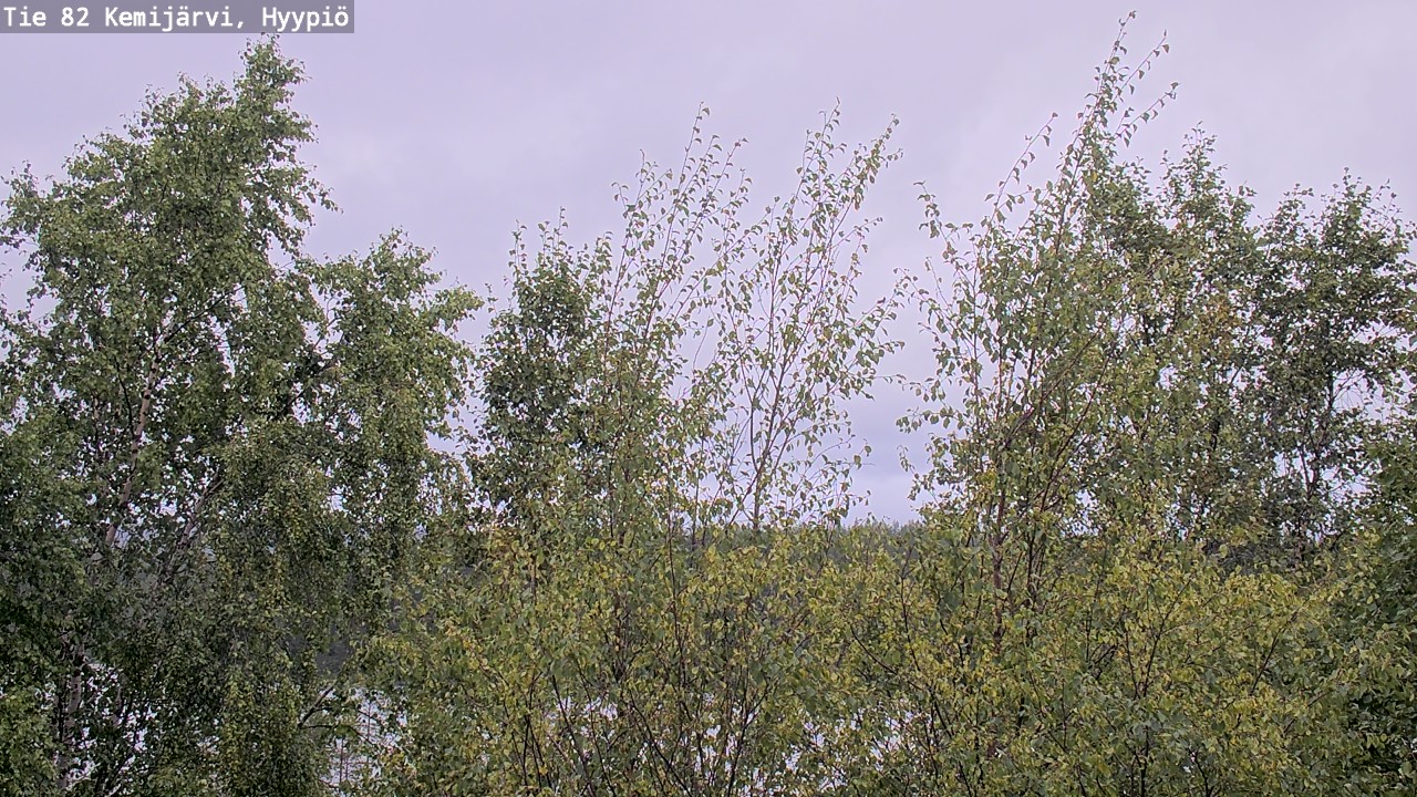 Kelikamerat Kuva Tie 82 Kemijärvi, Hyypiö, Kemijärvi, Lappi