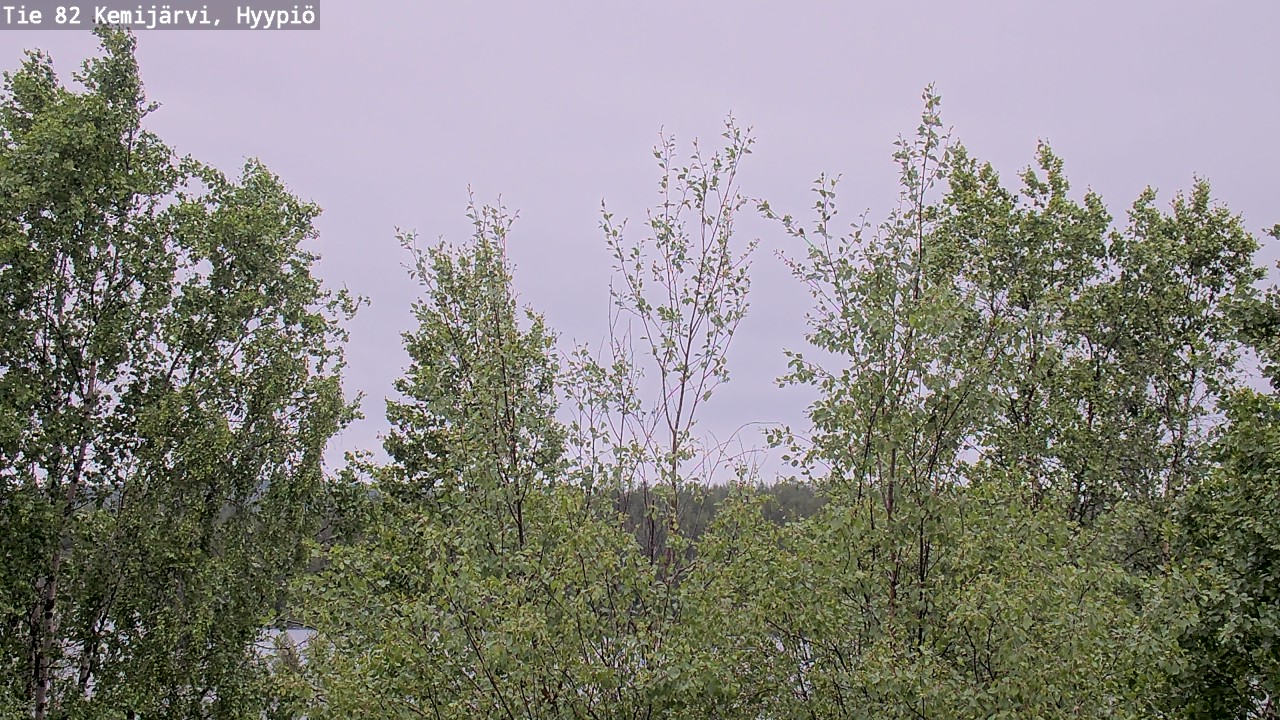 Weather Camera Image Väg 5 Kemi träsk, hyypiö, Kemijärvi, Lappi