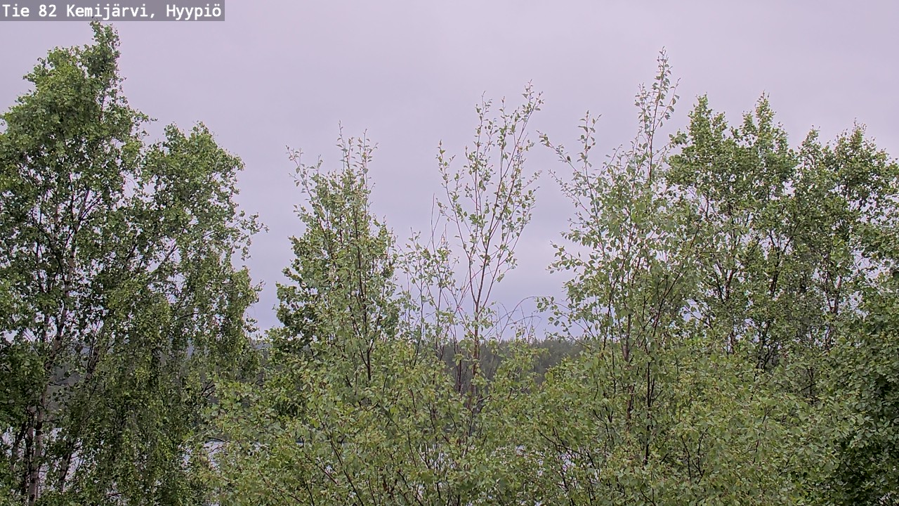 Weather Camera Image Väg 5 Kemi träsk, hyypiö, Kemijärvi, Lappi