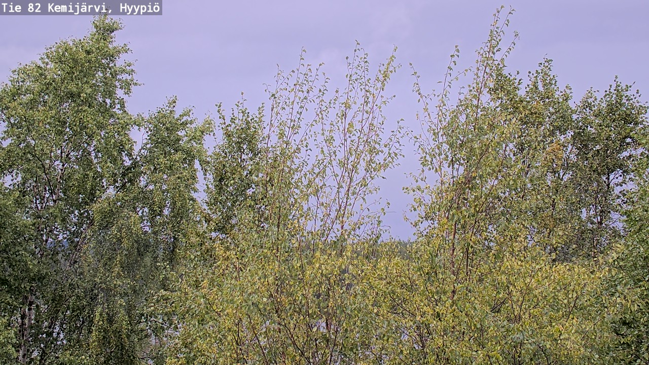 Kelikamerat Kuva Tie 82 Kemijärvi, Hyypiö, Kemijärvi, Lappi