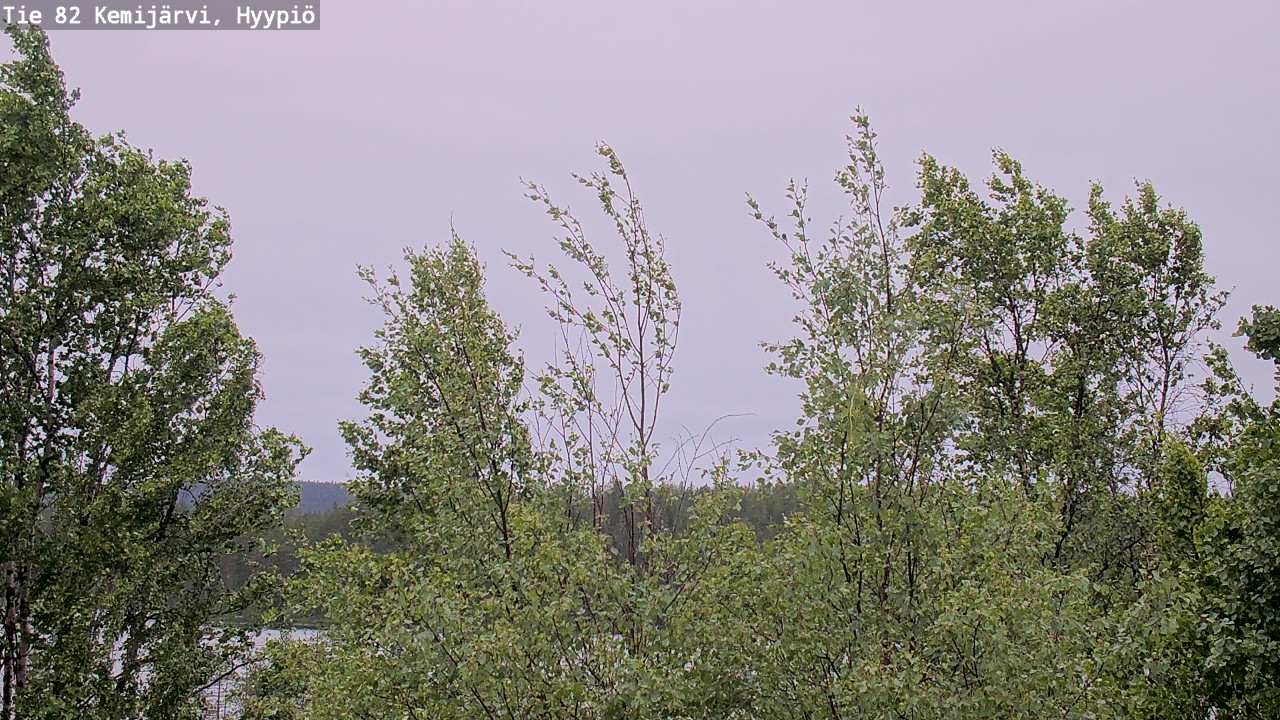 Weather Camera Image Väg 5 Kemi träsk, hyypiö, Kemijärvi, Lappi