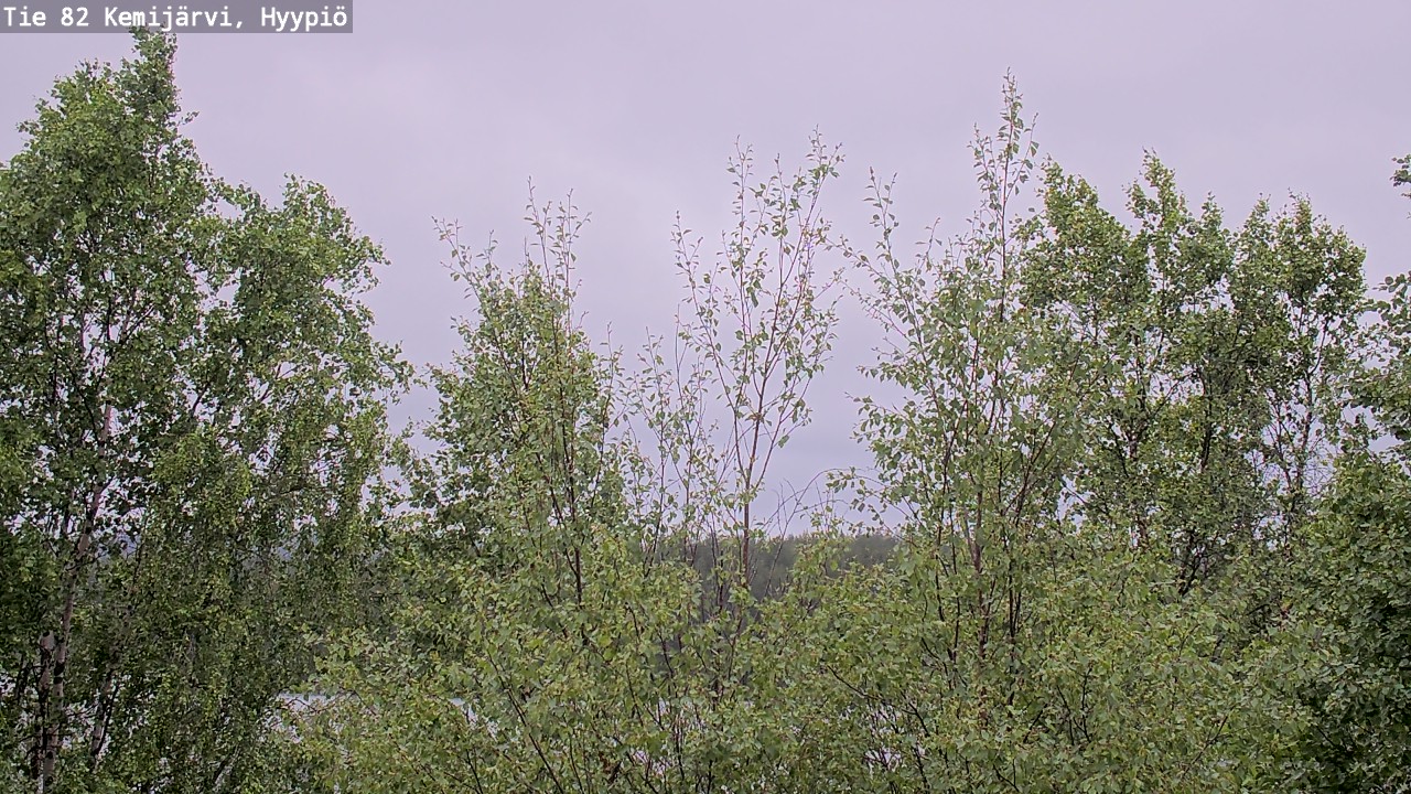 Weather Camera Image Väg 5 Kemi träsk, hyypiö, Kemijärvi, Lappi