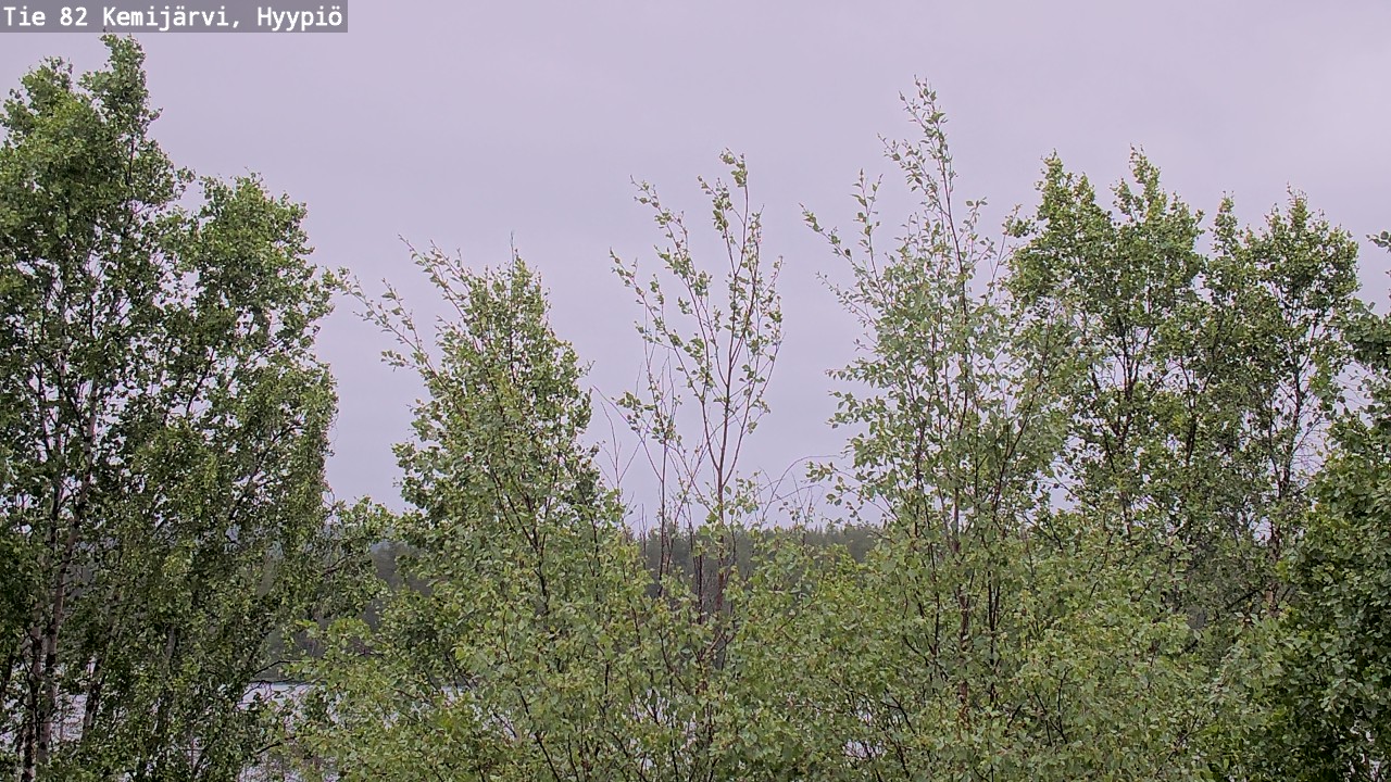 Weather Camera Image Väg 5 Kemi träsk, hyypiö, Kemijärvi, Lappi