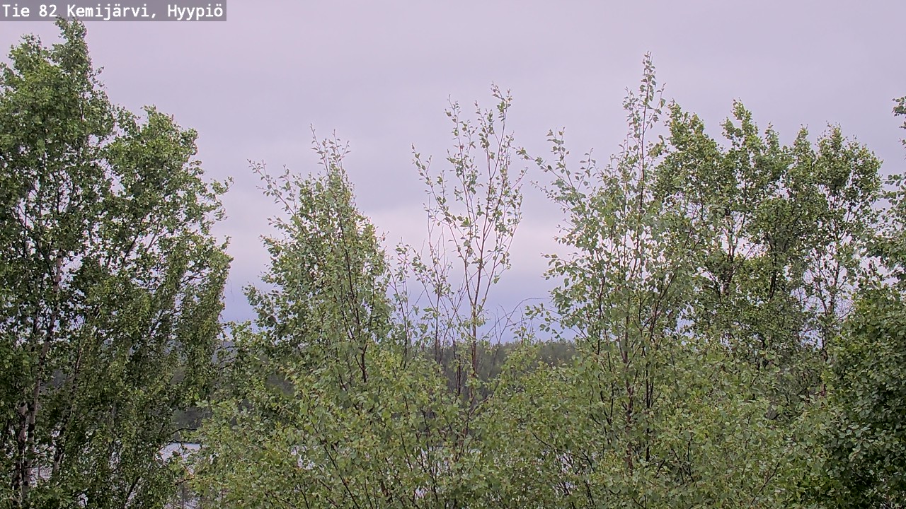 Weather Camera Image Väg 5 Kemi träsk, hyypiö, Kemijärvi, Lappi