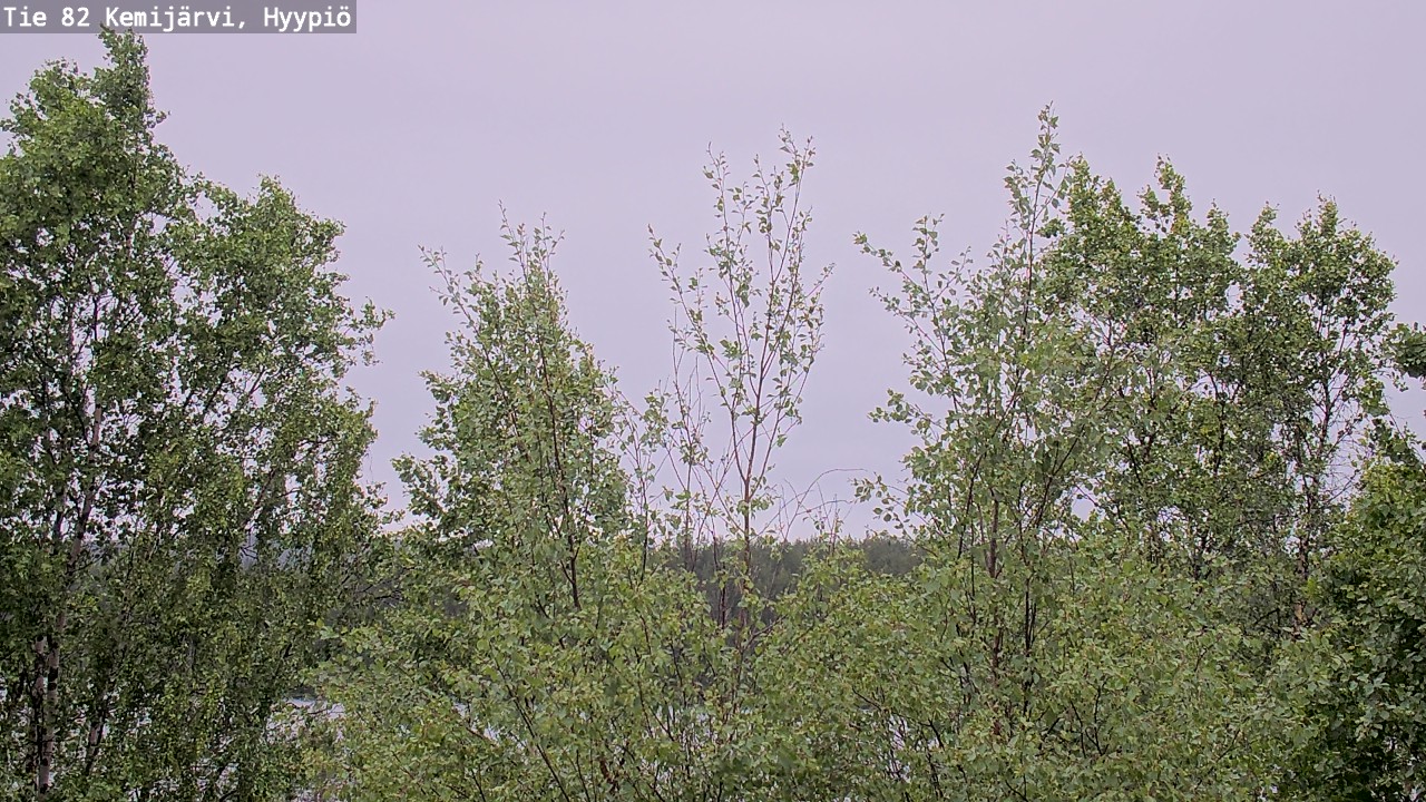 Weather Camera Image Väg 5 Kemi träsk, hyypiö, Kemijärvi, Lappi