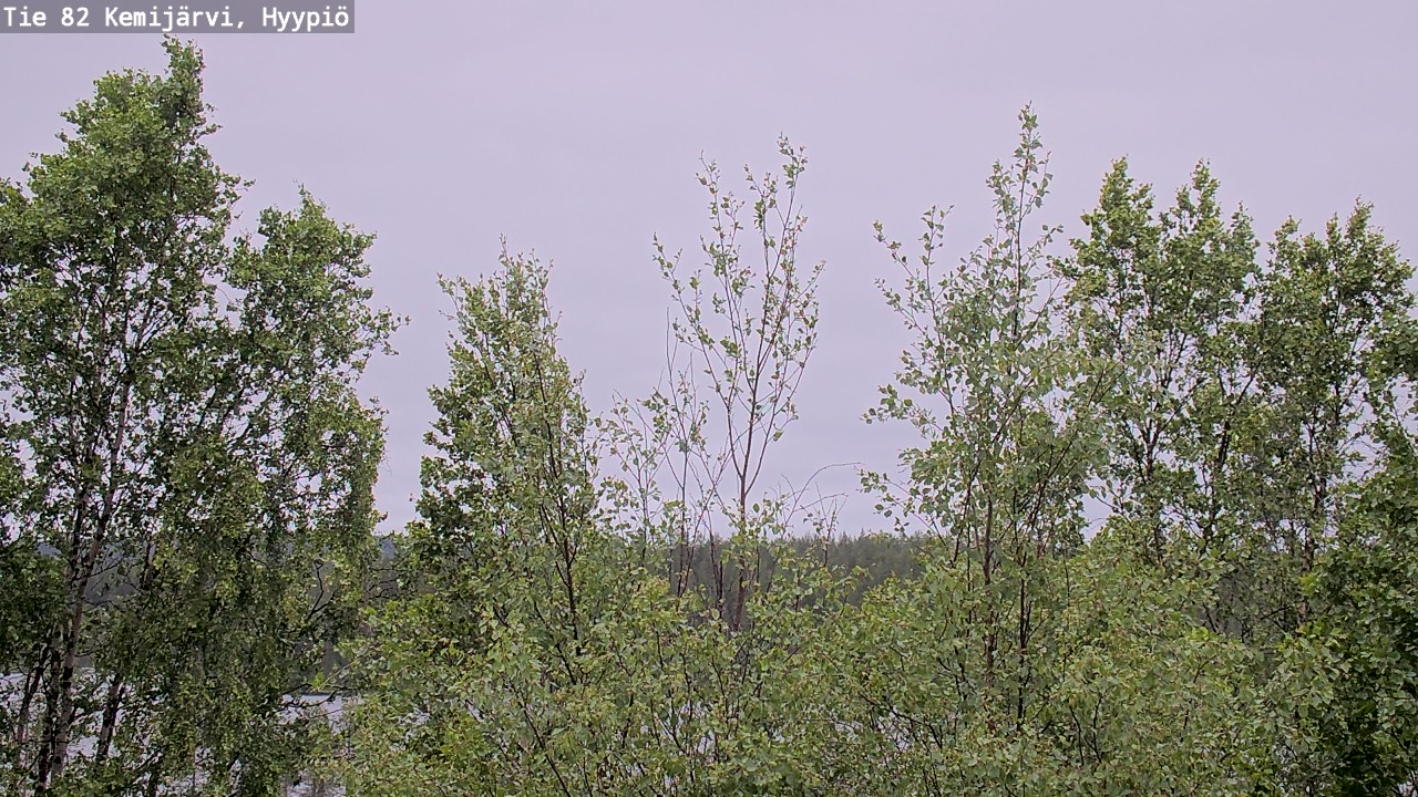 Weather Camera Image Väg 5 Kemi träsk, hyypiö, Kemijärvi, Lappi