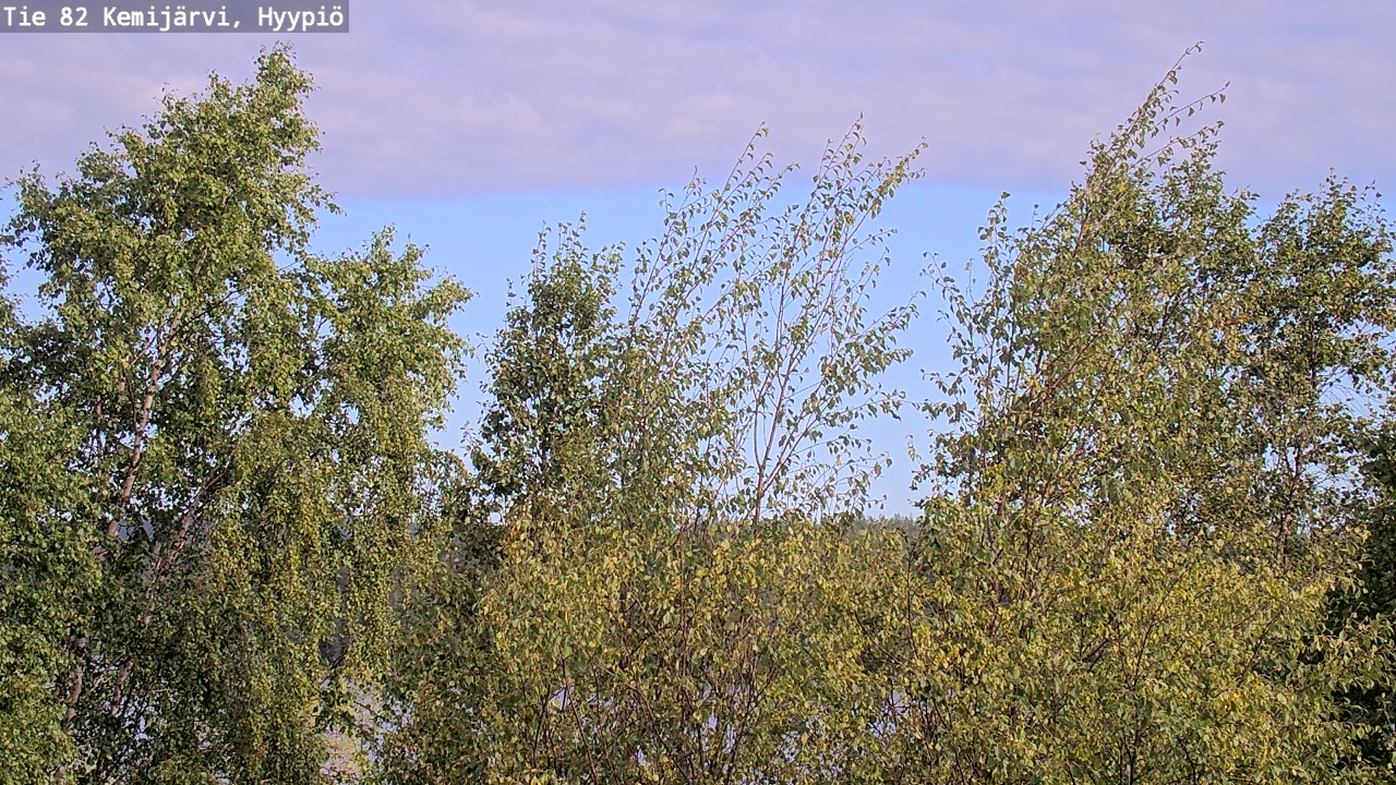 Weather Camera Image Väg 5 Kemi träsk, hyypiö, Kemijärvi, Lappi