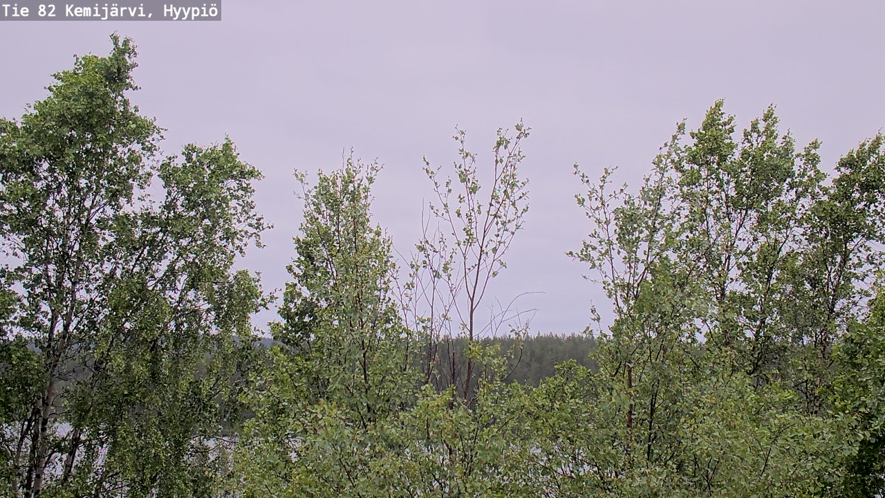 Weather Camera Image Väg 5 Kemi träsk, hyypiö, Kemijärvi, Lappi