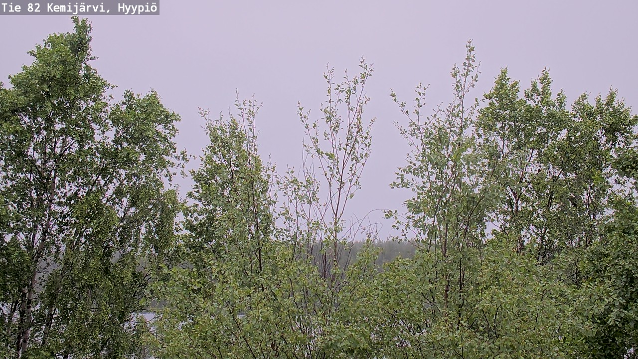Weather Camera Image Väg 5 Kemi träsk, hyypiö, Kemijärvi, Lappi