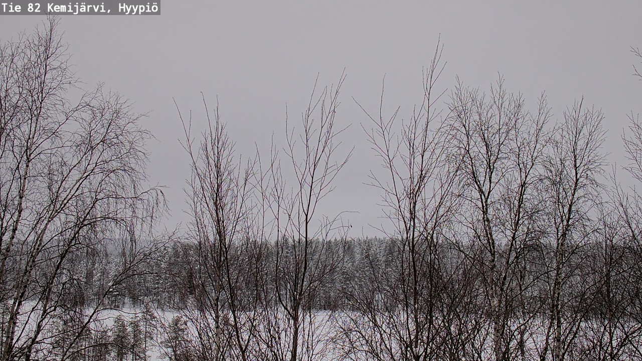 Weather Camera Image Väg 5 Kemi träsk, hyypiö, Kemijärvi, Lappi