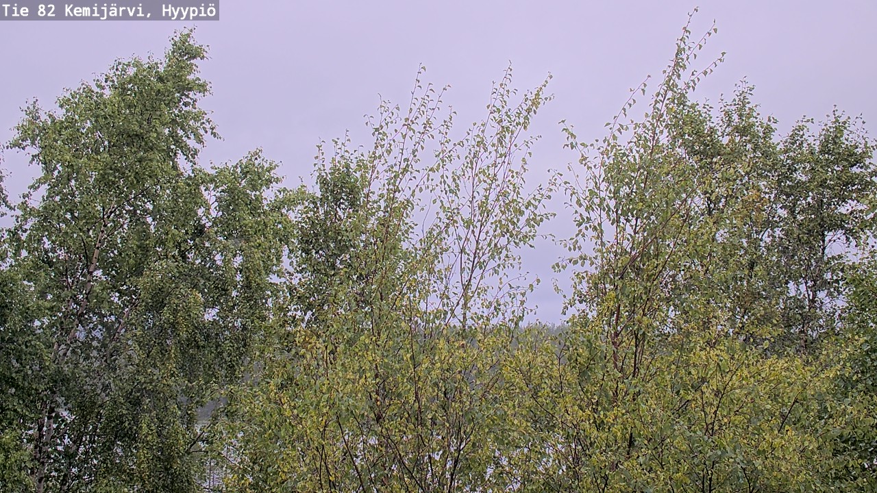 Kelikamerat Kuva Tie 82 Kemijärvi, Hyypiö, Kemijärvi, Lappi