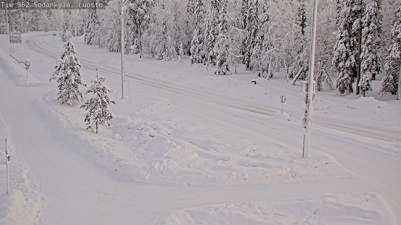 Kelikamerat Kuva Tie 962 Sodankylä, Luosto, Sodankylä, Lappi
