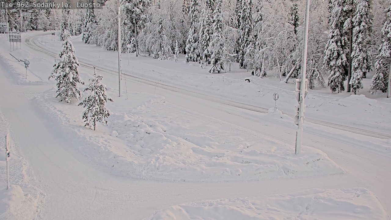 Kelikamerat Kuva Tie 962 Sodankylä, Luosto, Sodankylä, Lappi