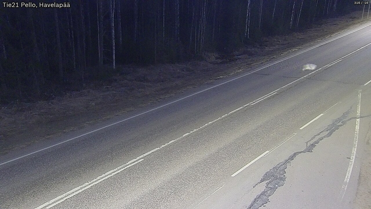 Weather Camera Image Road 21 Pello, Havelanpää, Pello, Lappi