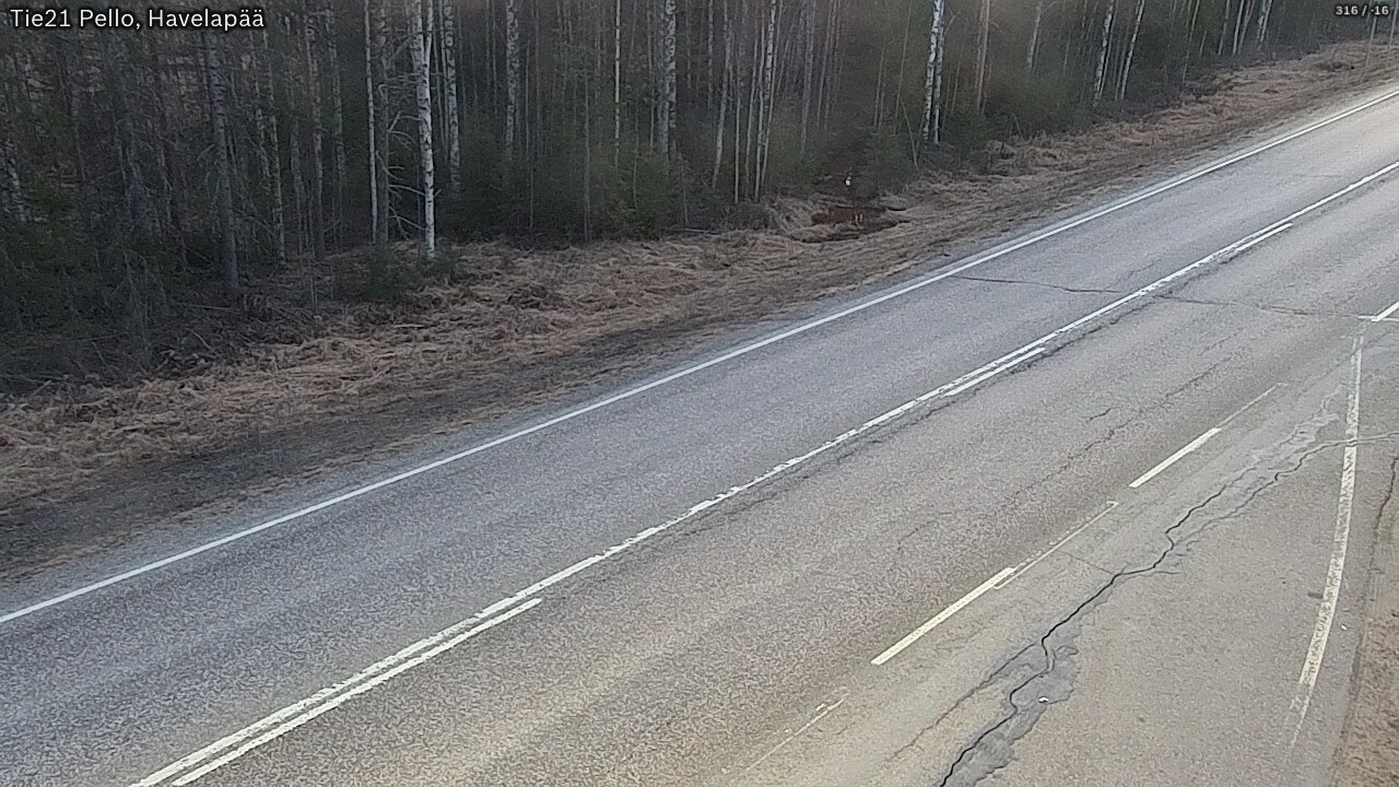 Weather Camera Image Road 21 Pello, Havelanpää, Pello, Lappi