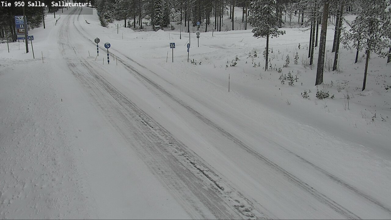 Kelikamerat Kuva Tie 950 Salla, Sallatunturi, Salla, Lappi