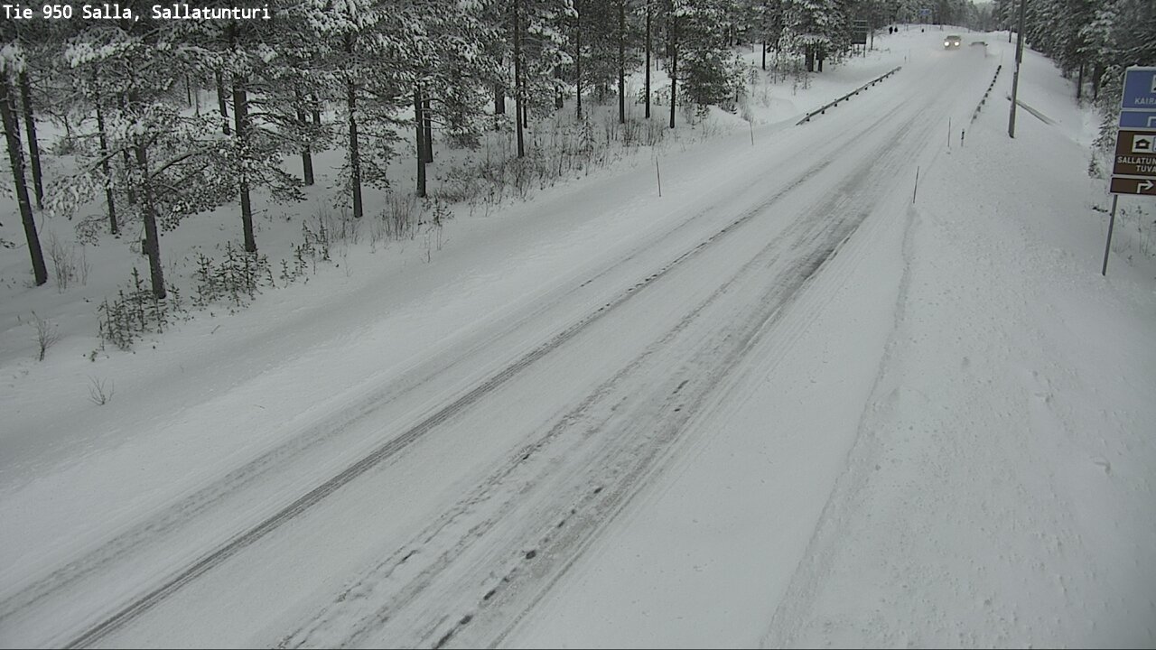 Kelikamerat Kuva Tie 950 Salla, Sallatunturi, Salla, Lappi