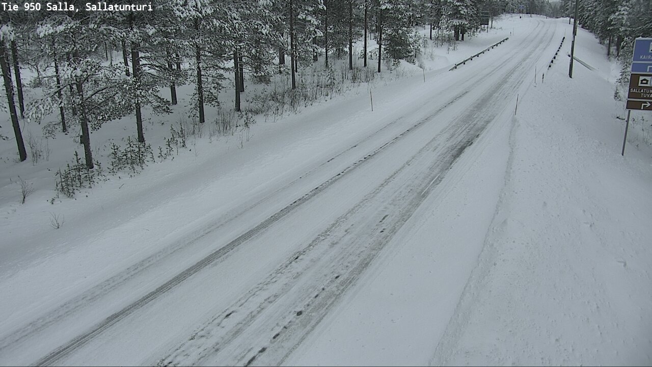 Kelikamerat Kuva Tie 950 Salla, Sallatunturi, Salla, Lappi