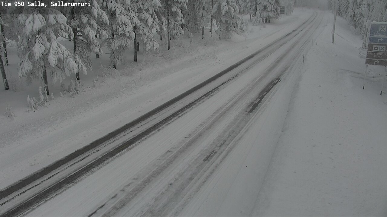 Kelikamerat Kuva Tie 950 Salla, Sallatunturi, Salla, Lappi