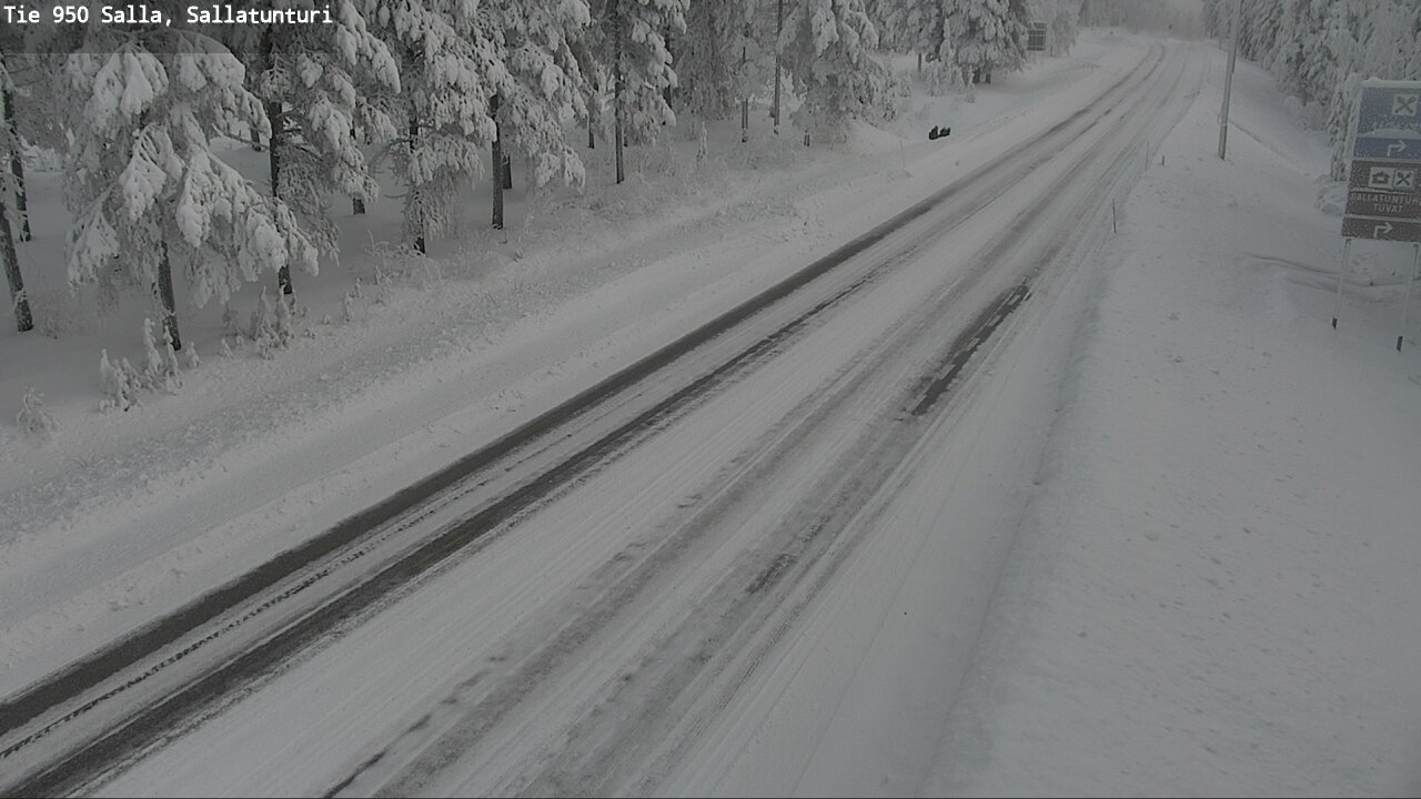 Kelikamerat Kuva Tie 950 Salla, Sallatunturi, Salla, Lappi