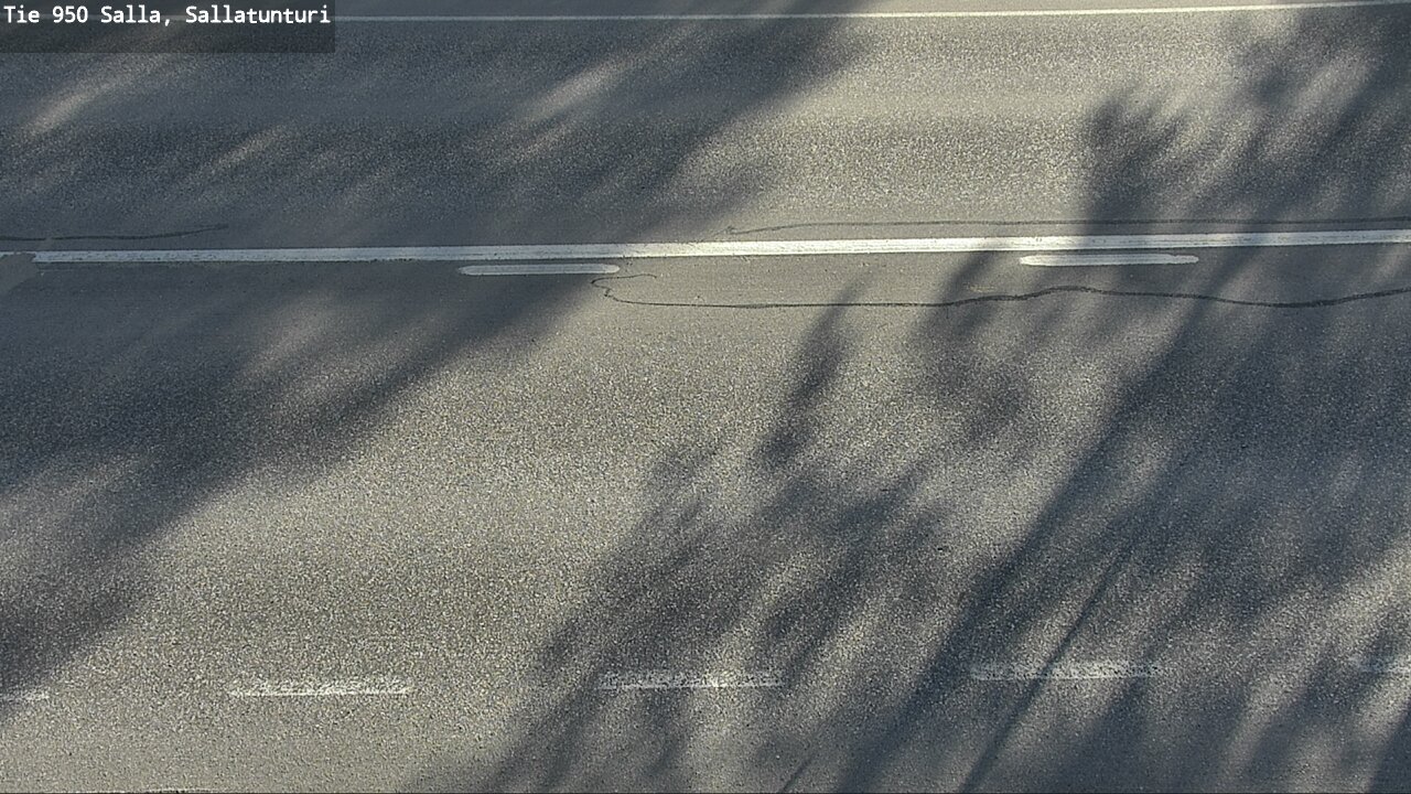 Kelikamerat Kuva Tie 950 Salla, Sallatunturi, Salla, Lappi