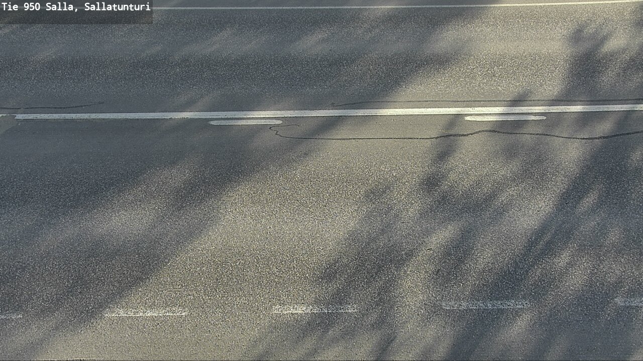 Kelikamerat Kuva Tie 950 Salla, Sallatunturi, Salla, Lappi