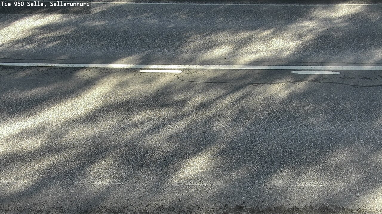 Kelikamerat Kuva Tie 950 Salla, Sallatunturi, Salla, Lappi