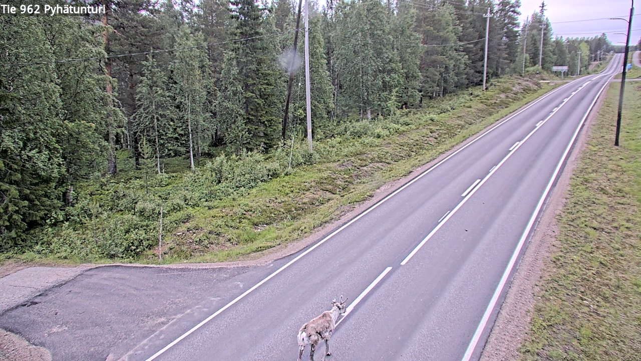 Kelikamerat Kuva Tie 962 Pelkosenniemi Pyhätunturi, Pelkosenniemi, Lappi