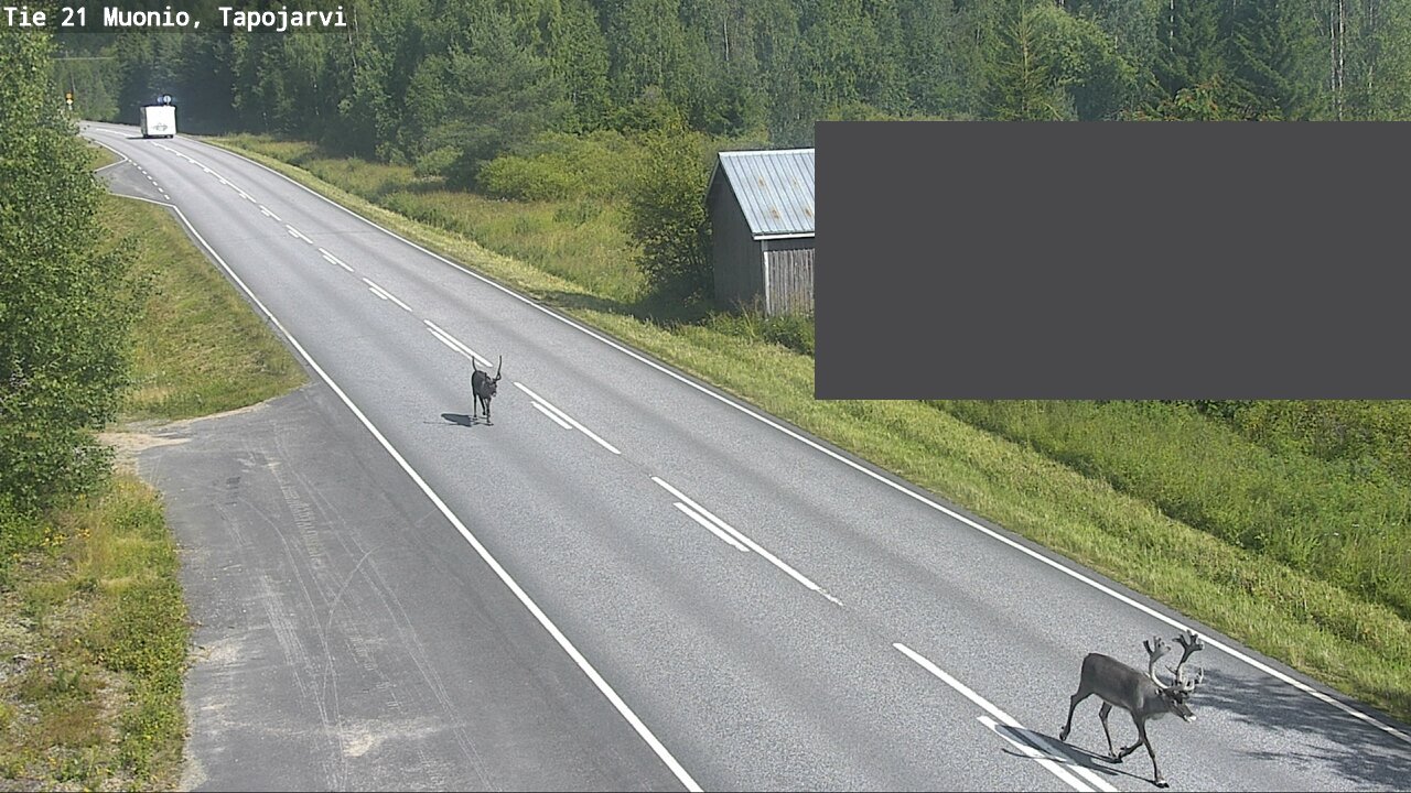Weather Camera Image Road 21 Muonio, Tapojärvi, Muonio, Lappi