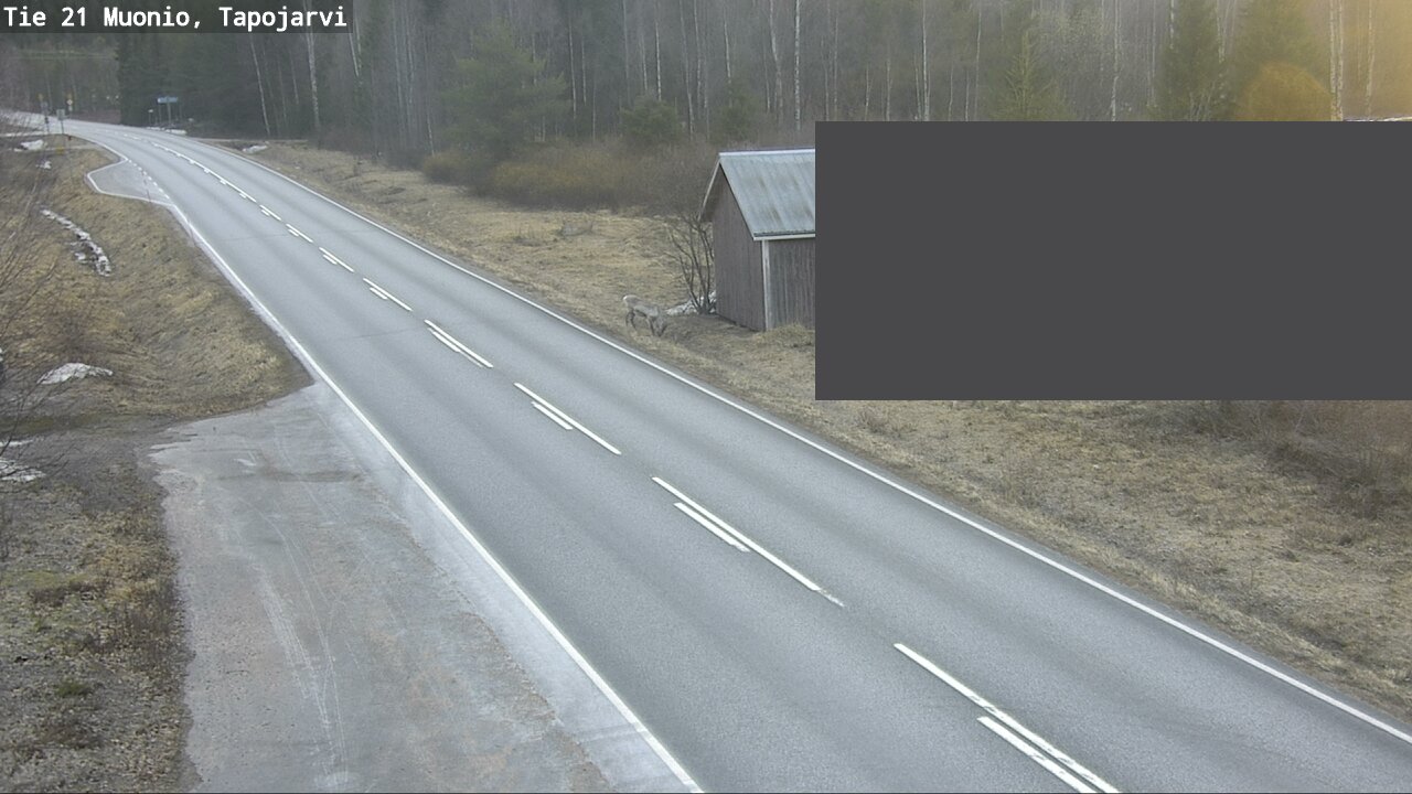 Kelikamerat Kuva Tie 21 Muonio, Tapojärvi, Muonio, Lappi