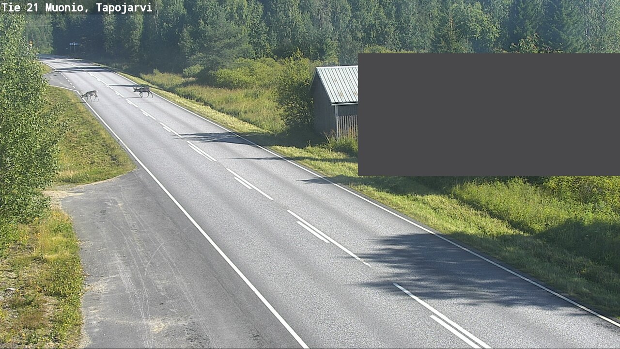 Weather Camera Image Road 21 Muonio, Tapojärvi, Muonio, Lappi
