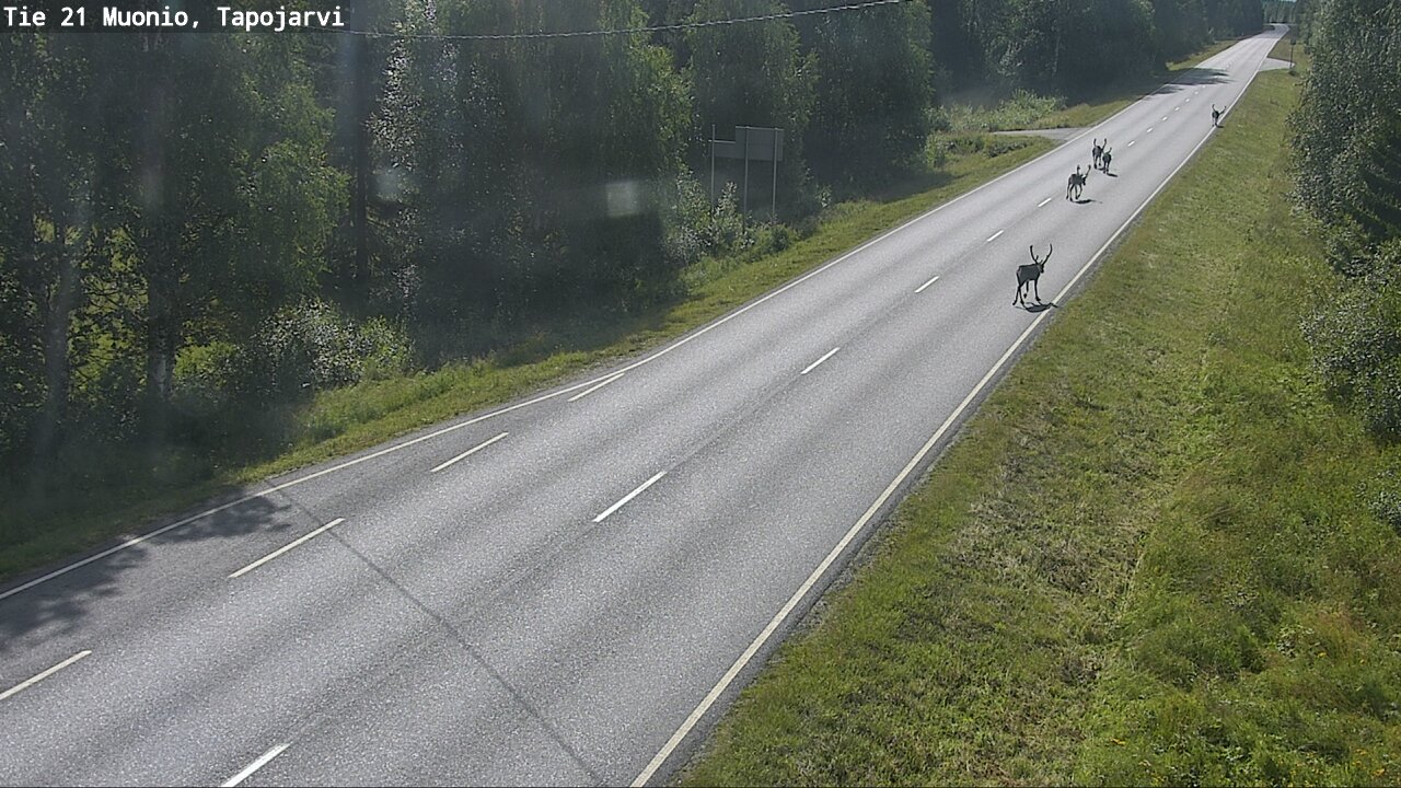 Weather Camera Image Road 21 Muonio, Tapojärvi, Muonio, Lappi