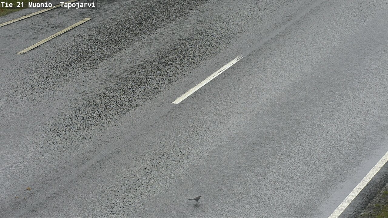 Kelikamerat Kuva Tie 21 Muonio, Tapojärvi, Muonio, Lappi