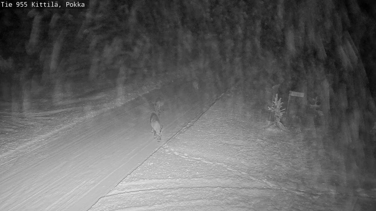 Weather Camera Image Road 955 Kittilä, Pokka, Kittilä, Lappi
