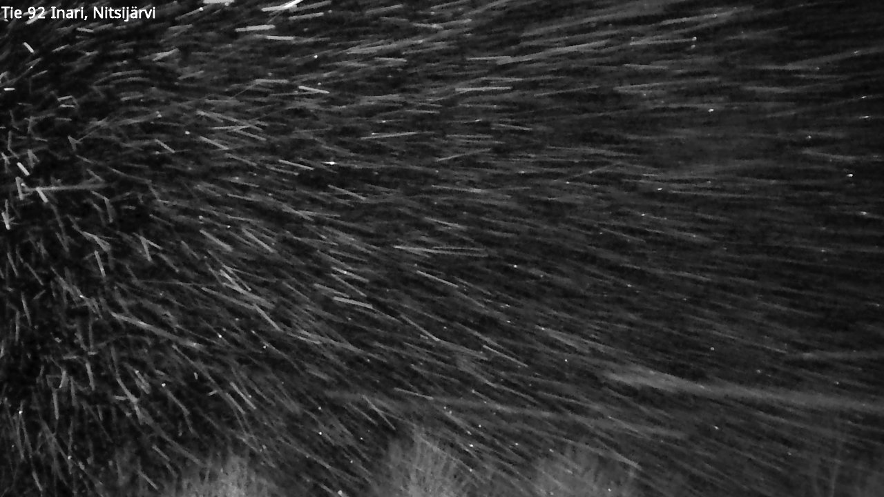 Kelikamerat Kuva Tie 92 Inari, Nitsijärvi, Inari, Lappi
