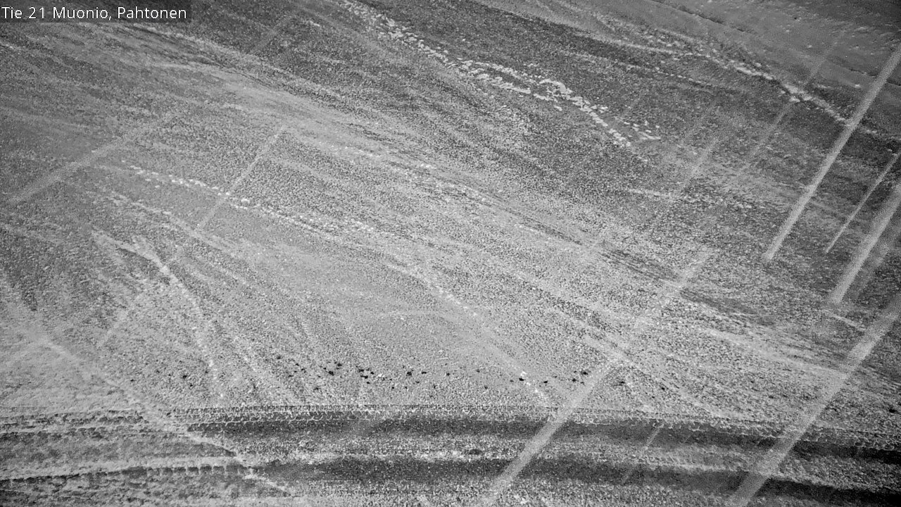 Kelikamerat Kuva Tie 21 Muonio Pahtonen, Muonio, Lappi