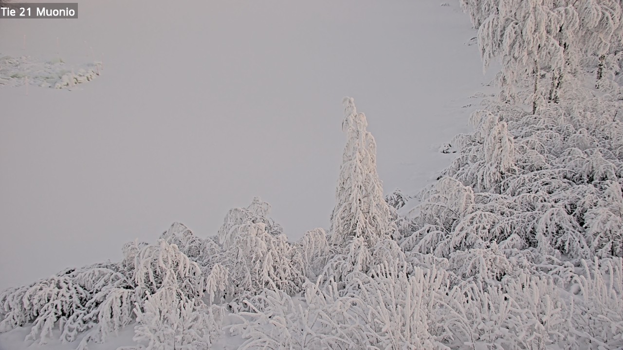 Kelikamerat Kuva Tie 21 Muonio, Muonio, Lappi